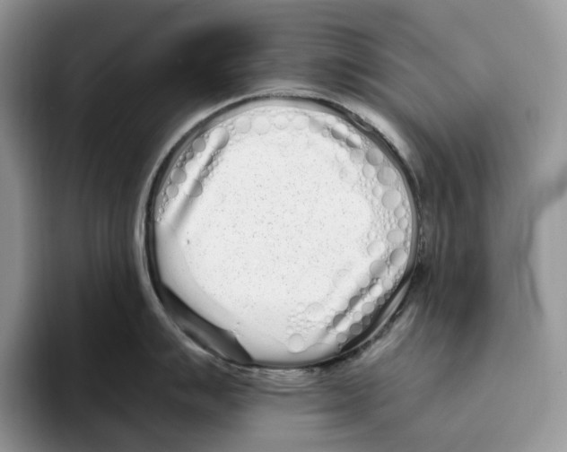 X0000093531007200711091754