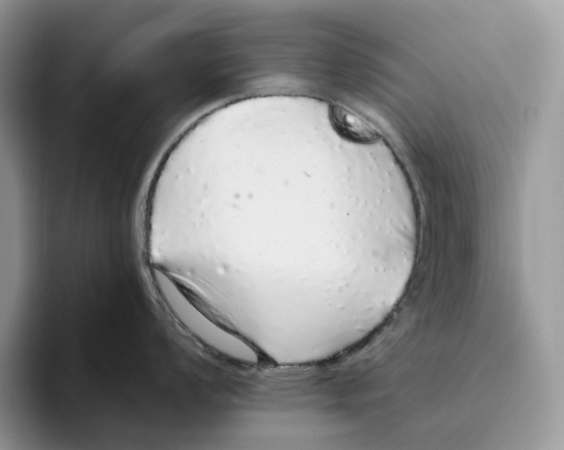 X0000093531008200711091754