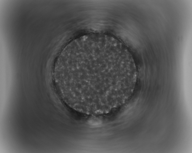 X0000093531009200711091754