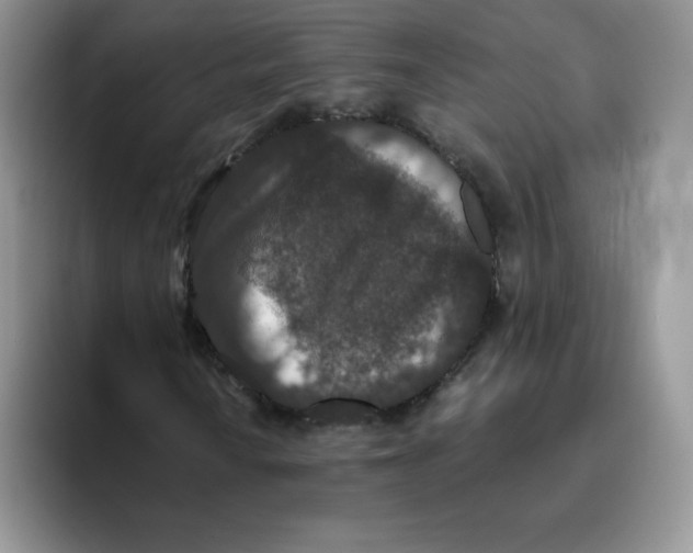 X0000093531010200711091754