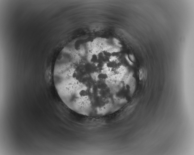 X0000093531011200711091754
