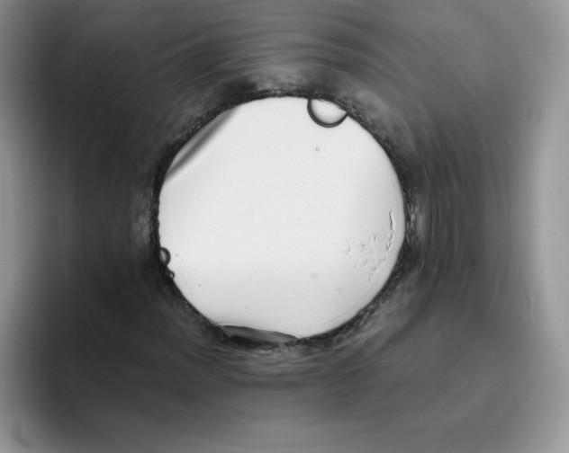 X0000093531012200711091754