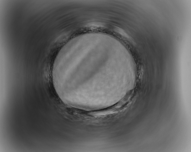 X0000093531014200711091754