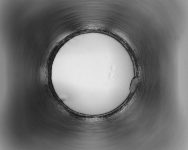 X0000093531018200711091754