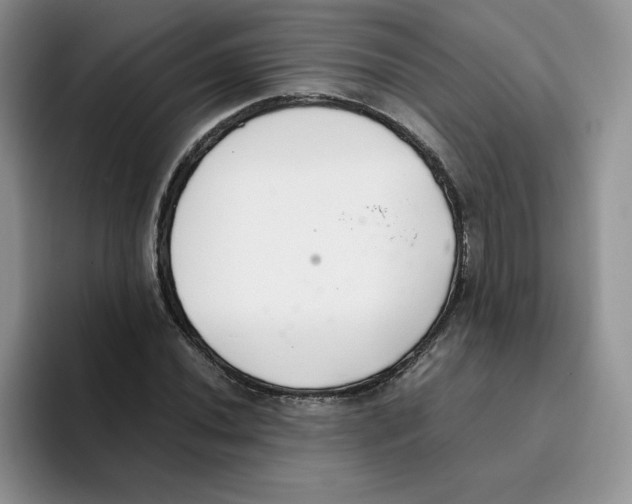 X0000093531020200711091754