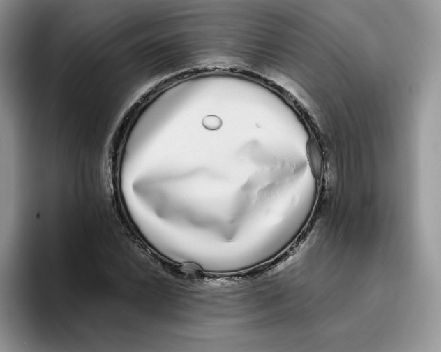 X0000093531022200711091754