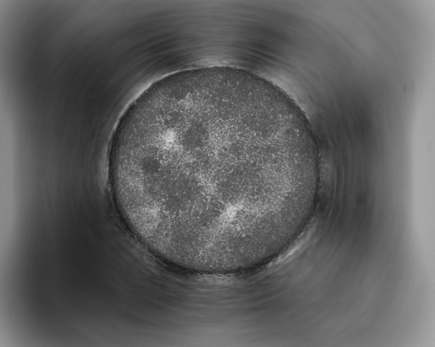 X0000093531023200711091754