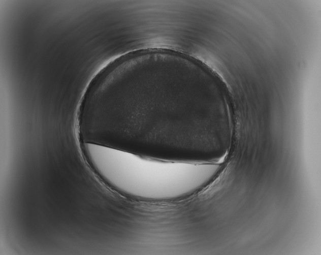 X0000093531024200711091754