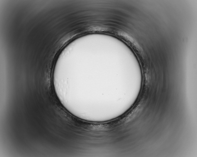X0000093531025200711091754