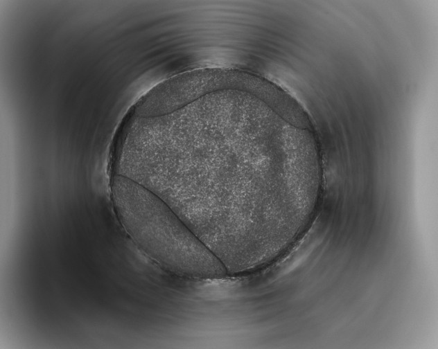 X0000093531026200711091754