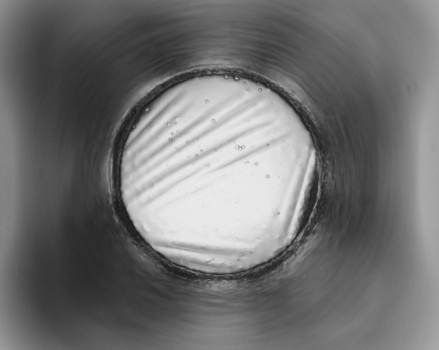 X0000093531030200711091754