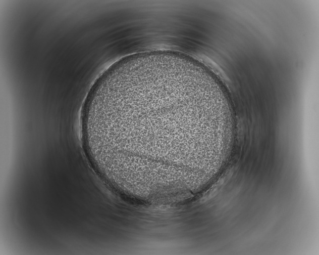 X0000093531031200711091754