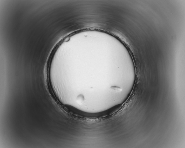 X0000093531032200711091754