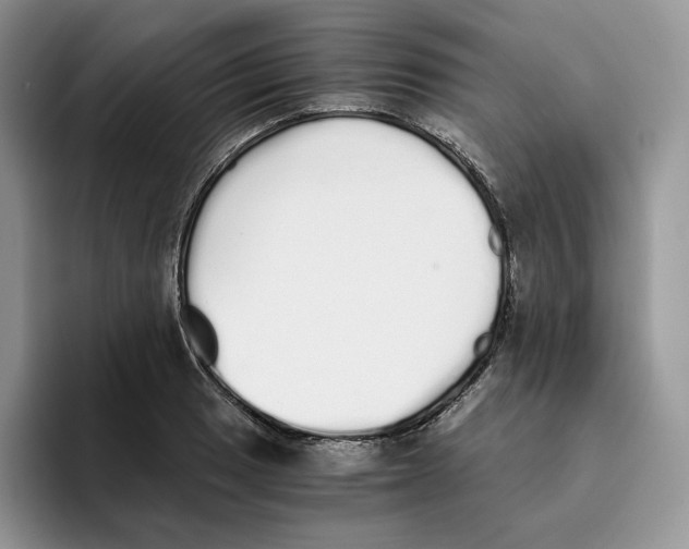 X0000093531033200711091754
