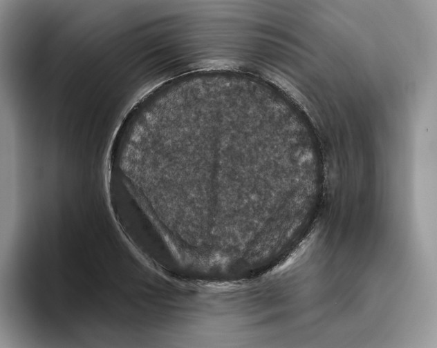 X0000093531034200711091754