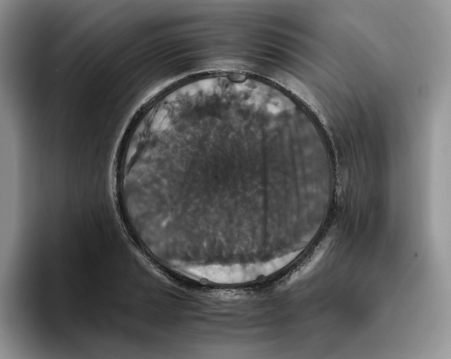 X0000093531037200711091754