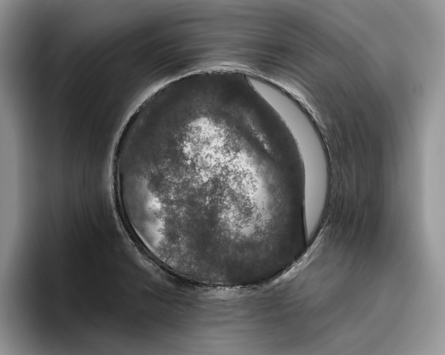 X0000093531038200711091754