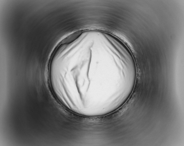 X0000093531040200711091754