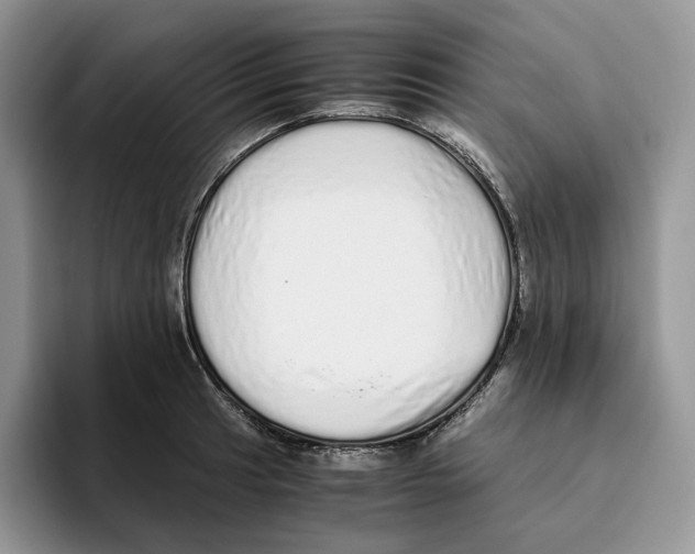 X0000093531041200711091754