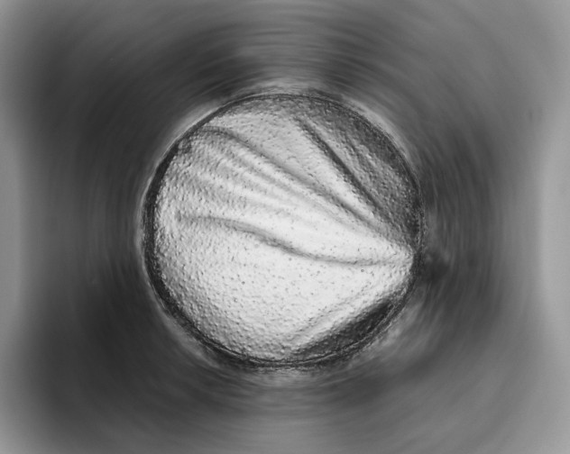 X0000093531042200711091754