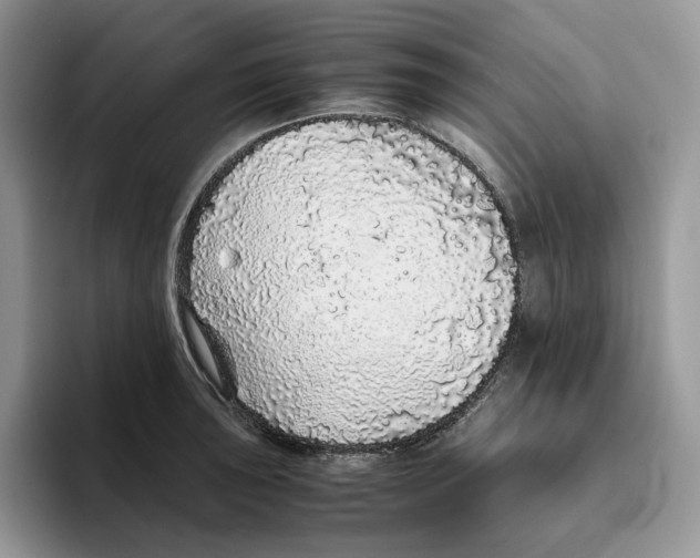 X0000093531043200711091754
