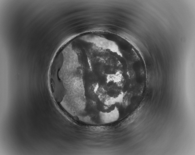 X0000093531045200711091754