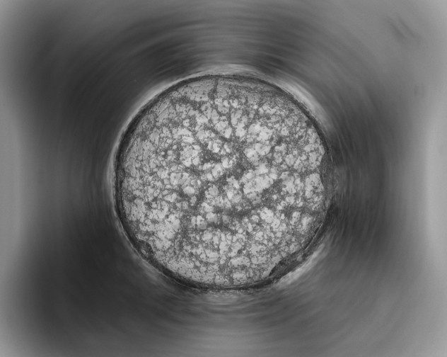 X0000093531046200711091754