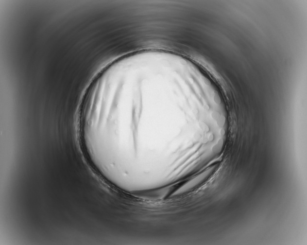 X0000093531048200711091754