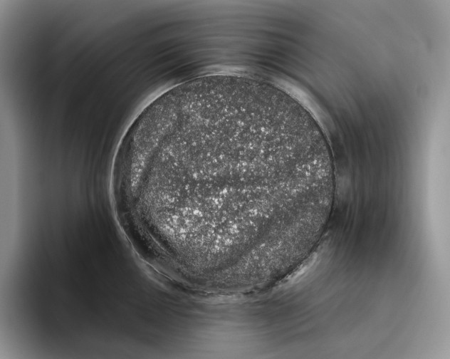 X0000093531050200711091754