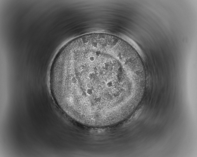 X0000093531051200711091754