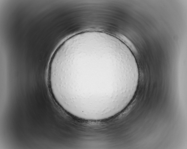 X0000093531052200711091754