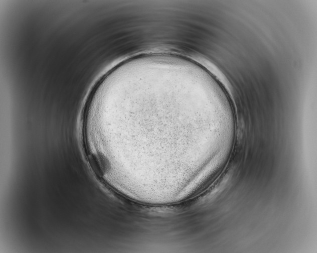 X0000093531053200711091754