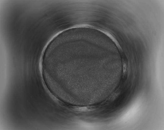X0000093531054200711091754