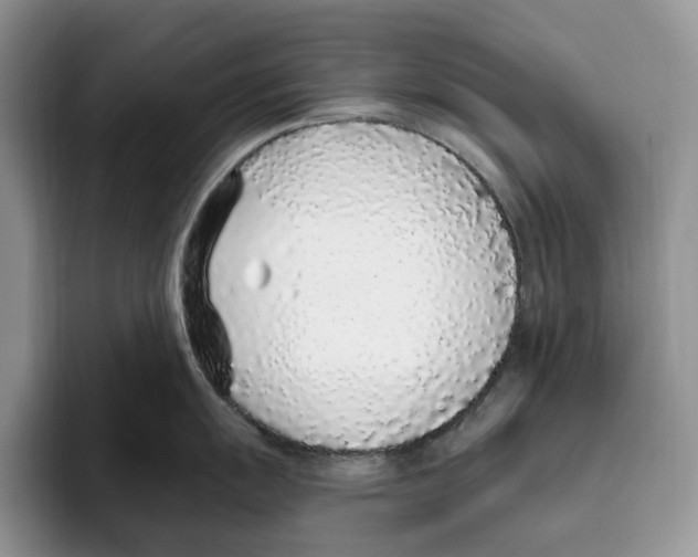 X0000093531055200711091754