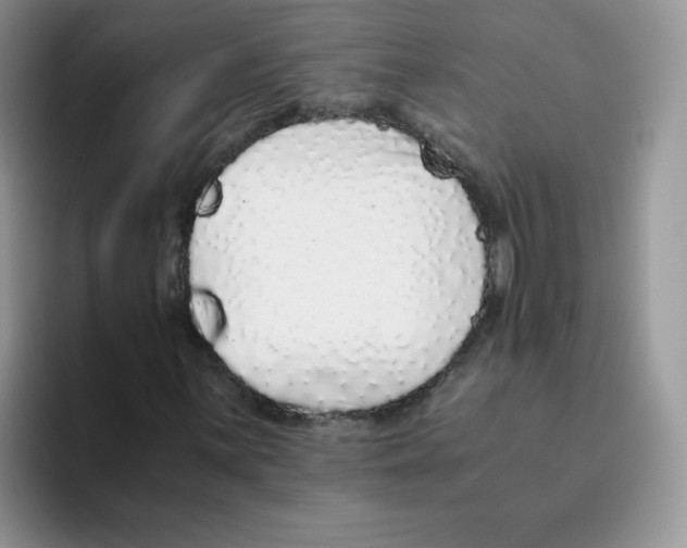 X0000093531059200711091754