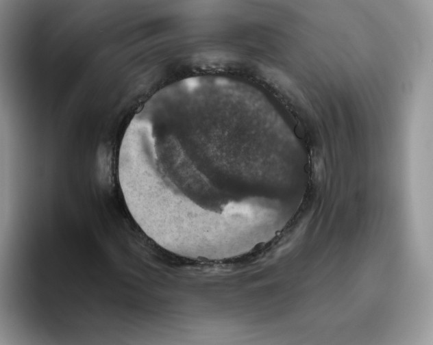 X0000093531060200711091754