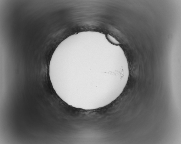 X0000093531061200711091754