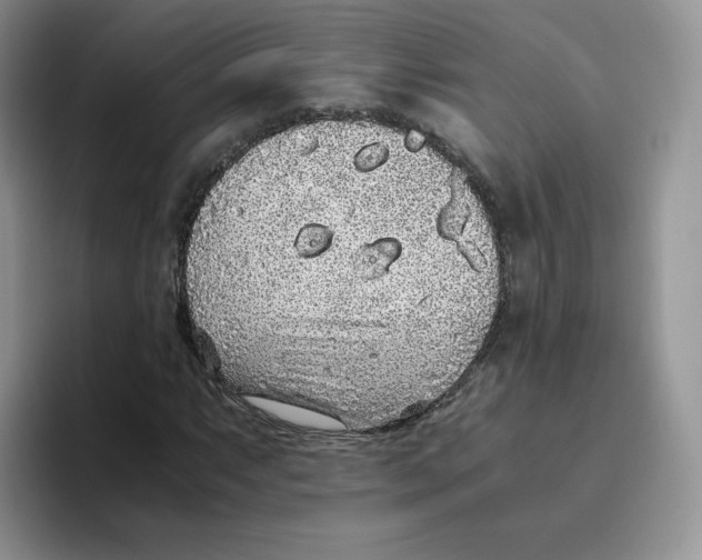 X0000093531063200711091754