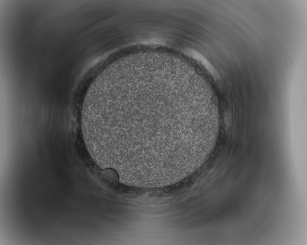 X0000093531064200711091754
