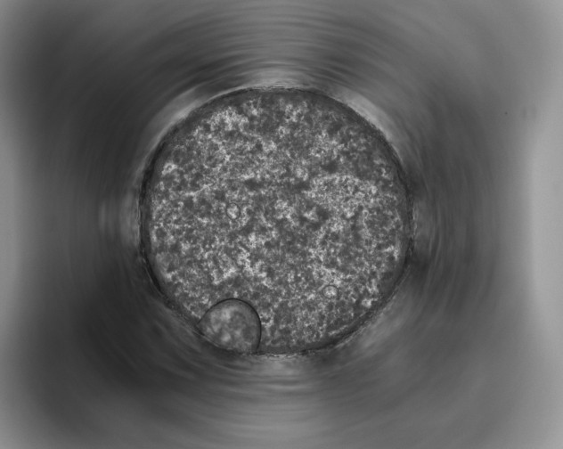 X0000093531067200711091754