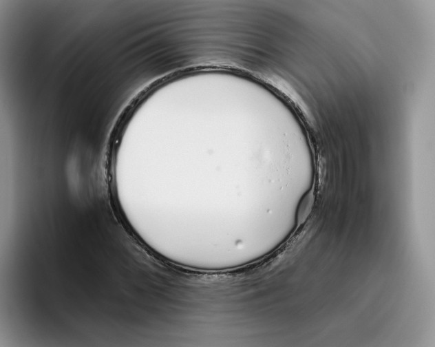 X0000093531068200711091754
