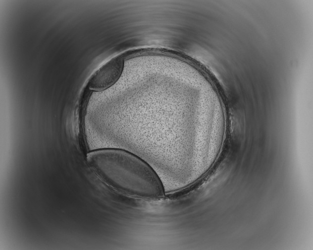 X0000093531069200711091754