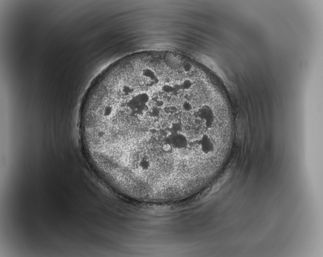 X0000093531071200711091753