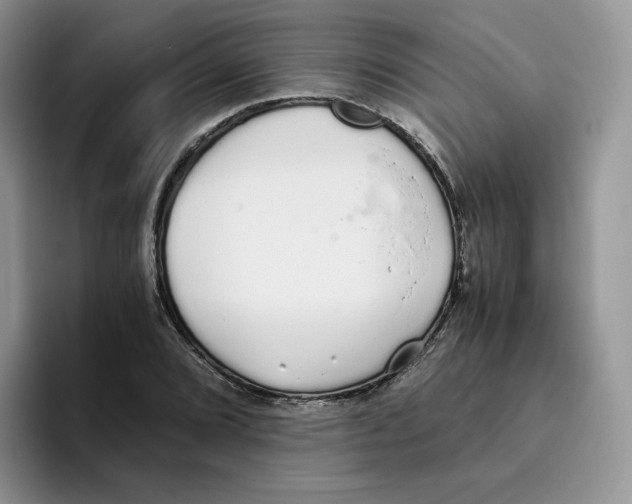 X0000093531072200711091753
