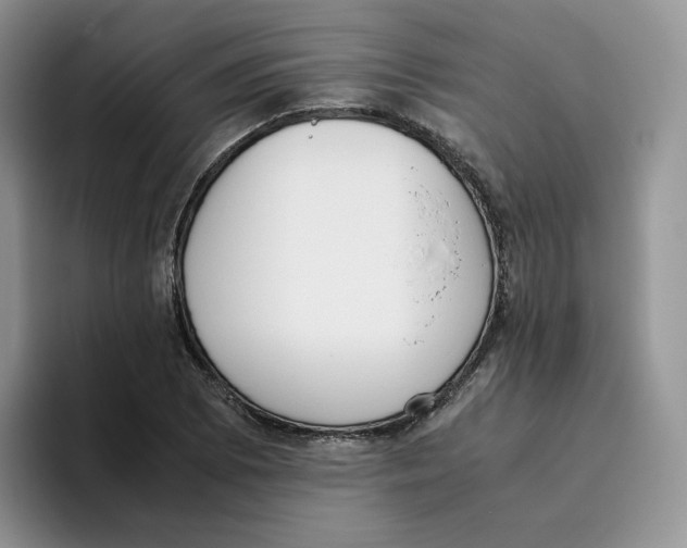 X0000093531073200711091753