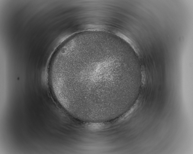 X0000093531074200711091753