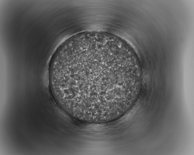 X0000093531075200711091753