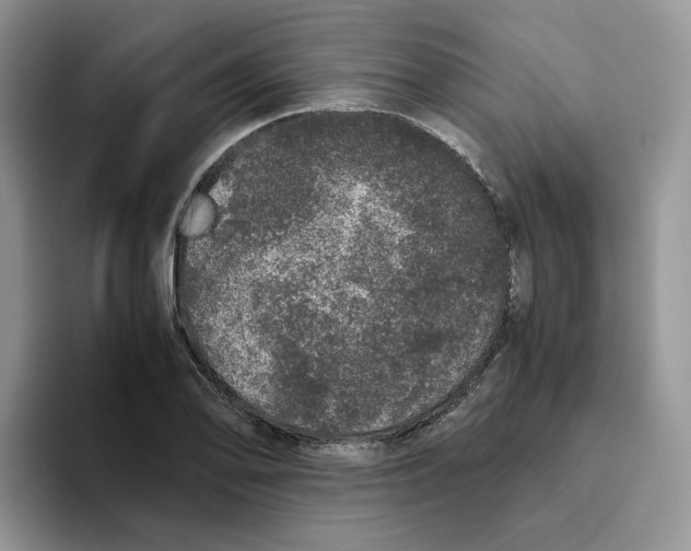 X0000093531078200711091753