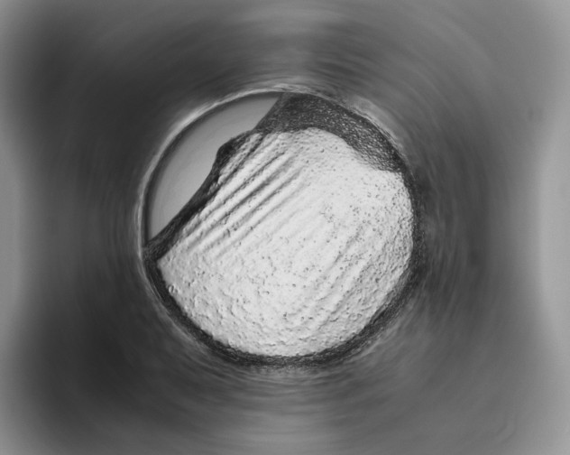 X0000093531079200711091753