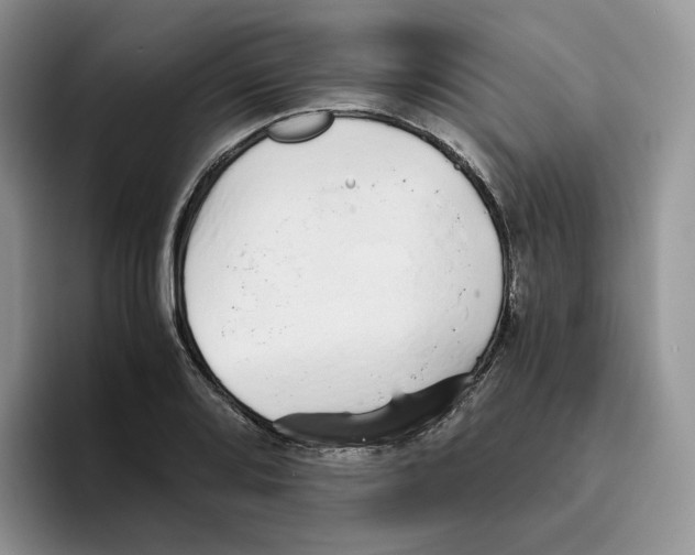 X0000093531080200711091753
